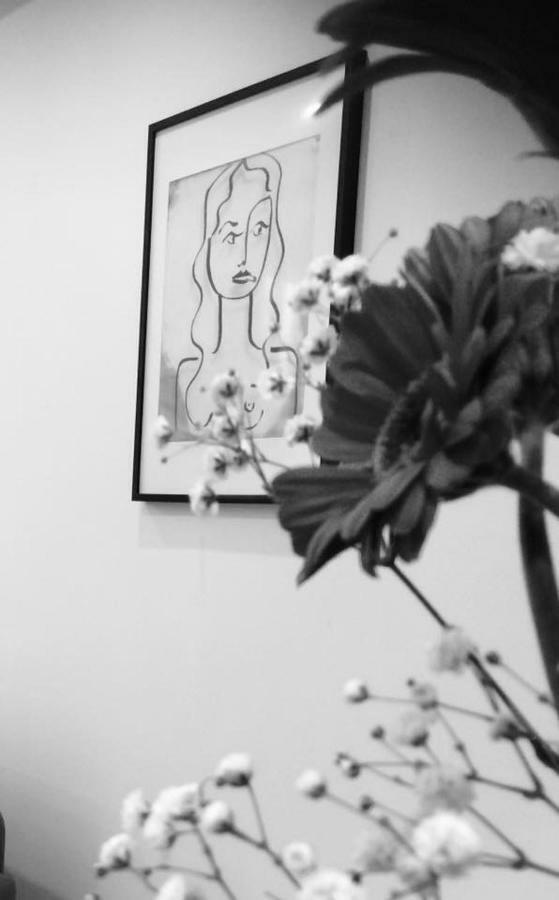 Carnot Chic Apartment Carcassonne Ngoại thất bức ảnh